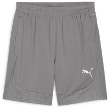 (M, Castle Grey/Silver) Puma Mens TeamFinal Football Shorts