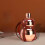 Stainless Steel Gourd Water Bottle 1 pc 4