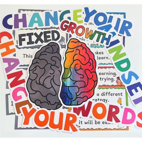 1set Growth Mindset Posters, Classroom Decorations, Fixed Vs. Growth Mindset Comparison Charts, Motivational Quotes