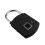 Prettyzoom Padlock USB Rechargeable Black Zinc Alloy 6