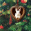 Rabbit Ornament Acrylic Heart-Shaped 3.1 Inch 6