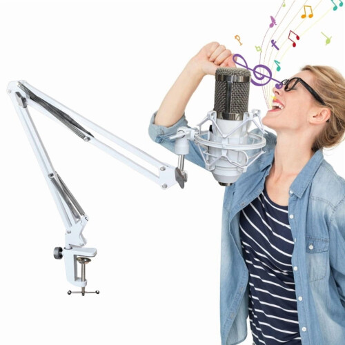 Portable Microphone Arm Stand for Studio and Live Use 2