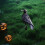 AuroraX Black Halloween Ornament Vintage Plastic Raven 7