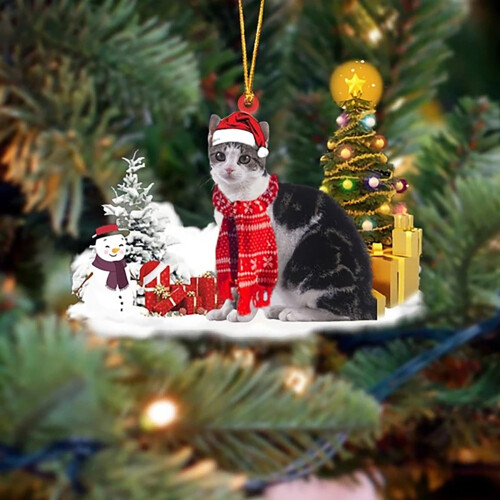 Acrylic 2D Cat Ornament with Red Hat 3.14 inch 1