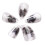 Pipa Nails PC for Musical String Instruments Brown S 4