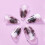 Pipa Nails PC for Musical String Instruments Brown S 6
