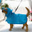 Dog Raincoat with Hood and Eye Shield 1 pc 2