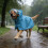 Dog Raincoat with Hood and Eye Shield 1 pc 4