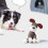 Soft Squeaky Dog Plush Toy for Teething and Aggressive 7