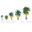 Rainforest Miniature Trees Set – 15 Pieces for Dioramas 4