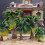 Rainforest Miniature Trees Set – 15 Pieces for Dioramas 5