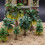 Rainforest Miniature Trees Set – 15 Pieces for Dioramas 6
