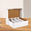Game Cards Storage Box for Collectors Organizing Tray 6