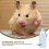Pet Water Feeder for Rabbit Silver 1 Set 3