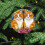 Ceramic Christmas Ornament with Two Orange Cats, Round Flat 5