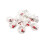 AuroraX White Christmas Curtain Lights Battery Operated 6