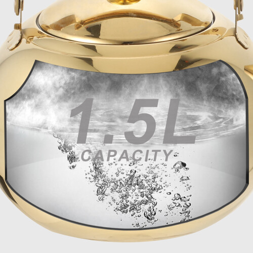 Golden Stainless Steel Kettle Home Kitchen Use 2