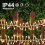 Christmas String Lights 36FT 500LED Warm White 5