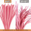 Chenille Stem Pipe Cleaners Craft Kit 300 pcs 3 colors 8