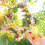 Resin Bees Daisies Ladybugs Flatback Embellishments 100 pcs 4