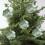 Glitter Mint Green Christmas Ornament Reusable 1 Piece 4