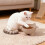Cat Drinking Bowl Large Capacity Wide Mouth 2