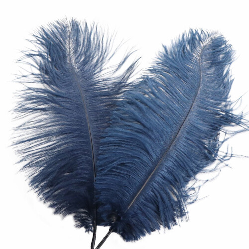 Ostrich Feathers Colorful 30-35cm Decorative Plumes 1