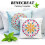 Flower Mandala Reusable Stencil 12x12 Inch 8