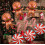 Christmas Balloon Set Foil Gingerbread Candy Cane 9 Pieces 7