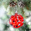 Glass Christmas Ball Ornaments Hand Blown 12 Pack 5