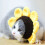 Pet Knitted Wool Hat for Dog Cat Costume Use 5