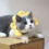Pet Knitted Wool Hat for Dog Cat Costume Use 3