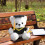 Teddy Bear Plush Toy Soft Hugging Keepsake 1 Piece 6