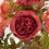 Artificial Flowers PU Outdoor Home Decor with Vase 6