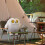 Snowy Owl Plush Keychain Bag Charm 1 piece 4