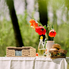 Napkin Holder with Lid for Outdoor Picnic Table, Square Woven Paper Basket for Kitchen, Camping & Farmhouse Decor