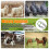 Goat Tail Docking/Castration Ring Kit - Includes Applicator Pliers and 100 Rings, Suitable for Farm Use 6