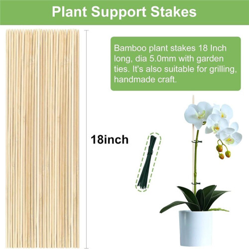 Set di 120 Pezzi di Supporti per Piante In Bambù (Include Legature) - Supporti per Piante Rampicanti e Ortaggi In Vaso 2