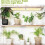 1set LED Growing Light, Dimmable and Timer Growing Light, Under-Cabinet Growing Light, European Standard Plug EU Plug 5