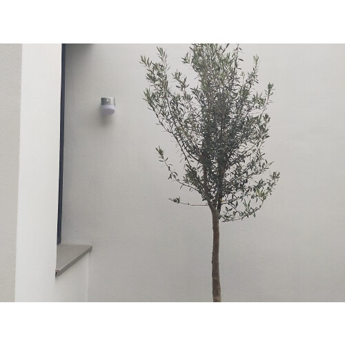 Luceco Luceco LED Solar PIR Sensor Wall Lantern 1