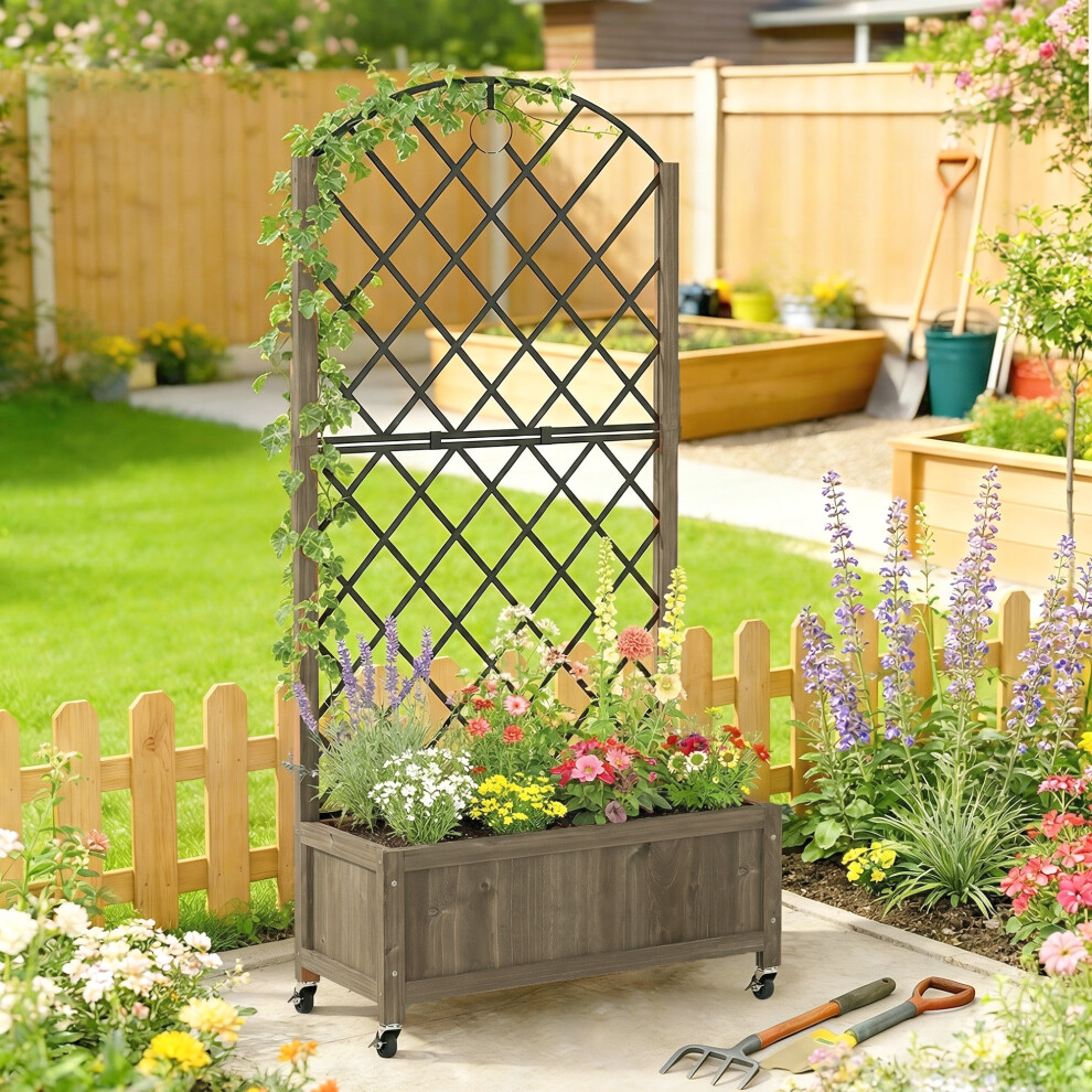 Rackhams Light Garden Bed W/Metal Trellis, Wooden Elevated Planter Box - Carbonised Finish - Image 2