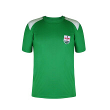 (11-12 Years, Green) Fifa Childrens/Kids Northern Ireland T-Shirt