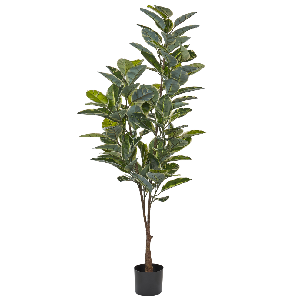 Photos - Other Decoration Beliani Artificial Plant FICUS ELASTICA 160 cm Green 