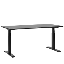 Electric Adjustable Standing Desk DESTIN II 160 cm 72 cm Black