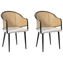 Set of 2 Dining Chairs WEIMAR Metal Black