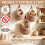 3 Pack Boho Cotton Rope Hanging Wall Baskets, Teardrop Storage Baskets with Hooks, Multi Size Holder for Potatoes 6