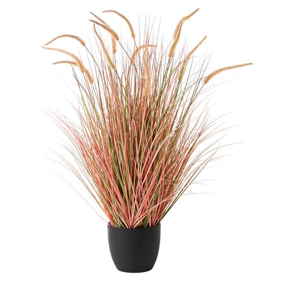 Photos - Other Decoration Beliani Artificial Plant BRISTLEGRASS 120 cm Orange 