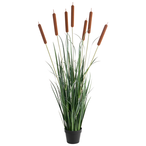 Beliani Artificial Plant BULRUSH 135 cm Green