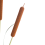 Beliani Artificial Plant BULRUSH 135 cm Green 4