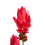 Beliani Artificial Plant PURPURATA 130 cm Red 4